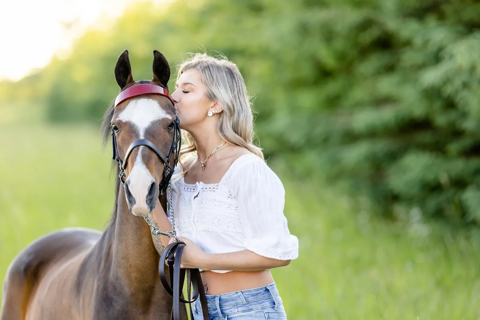 A Day in the Life of Horse Care for More Consistent Horse Photography