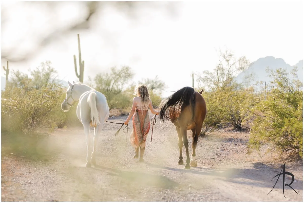 How to Recover Blown Out Skies in Equine Photography